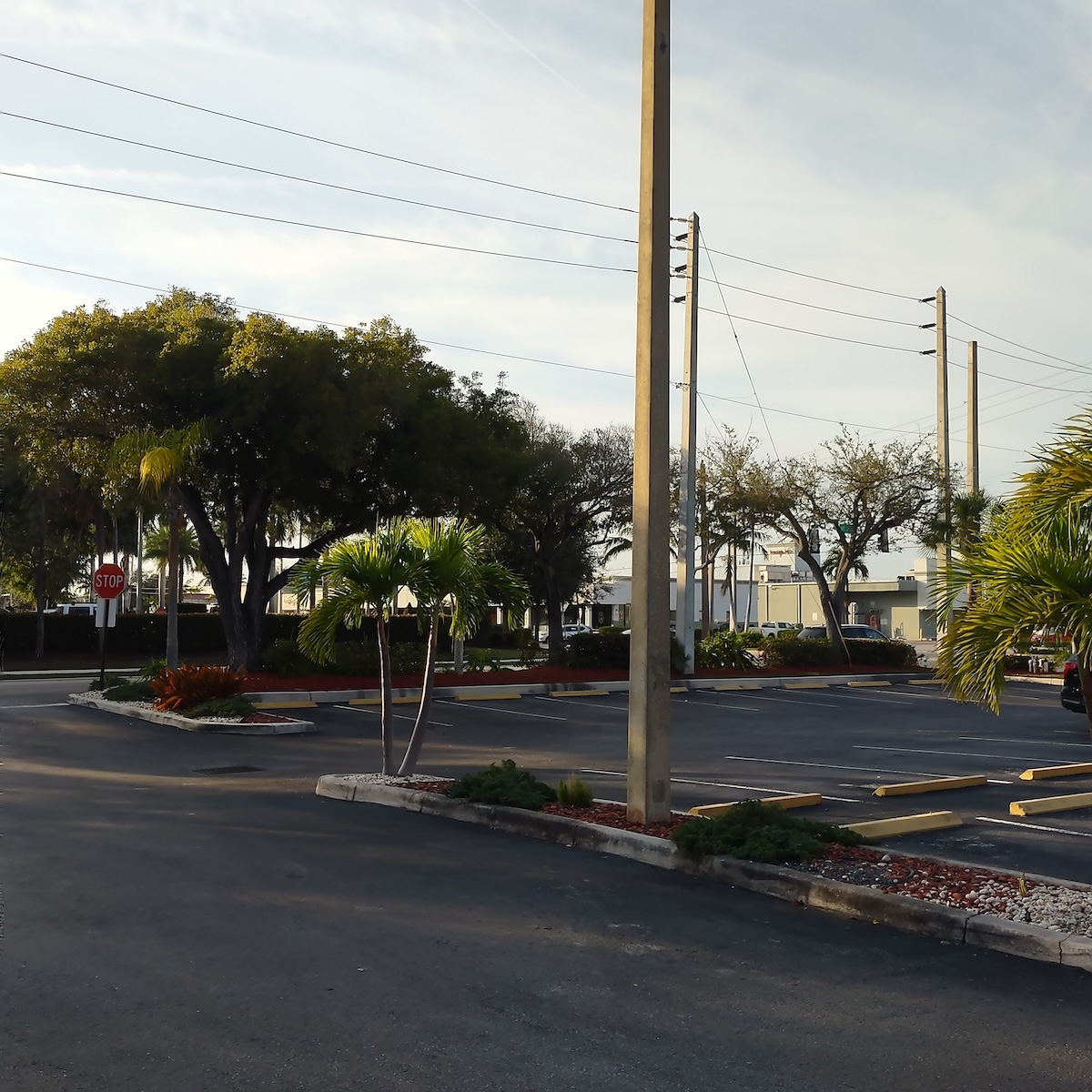 The image shows an empty parking lot with palm trees in front of a building, viewed from a street-level perspective.