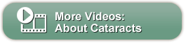 The image displays a screenshot of a computer interface with a search bar containing text, a video thumbnail, and a button labeled  More videos,  along with additional information about video content related to cats.