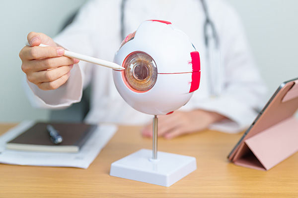 A medical professional holding a smartphone with a magnified view of an eye, examining it using a digital ophthalmoscope on a desktop stand.