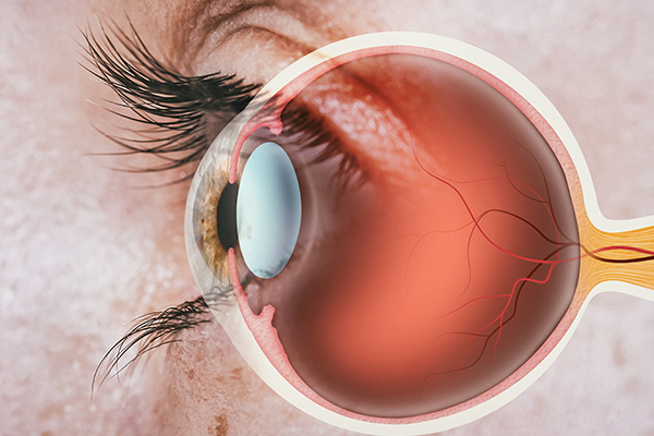 The image shows a close-up view of an eye with a retina scan being performed, highlighting the intricate details of the eye s structure and function.